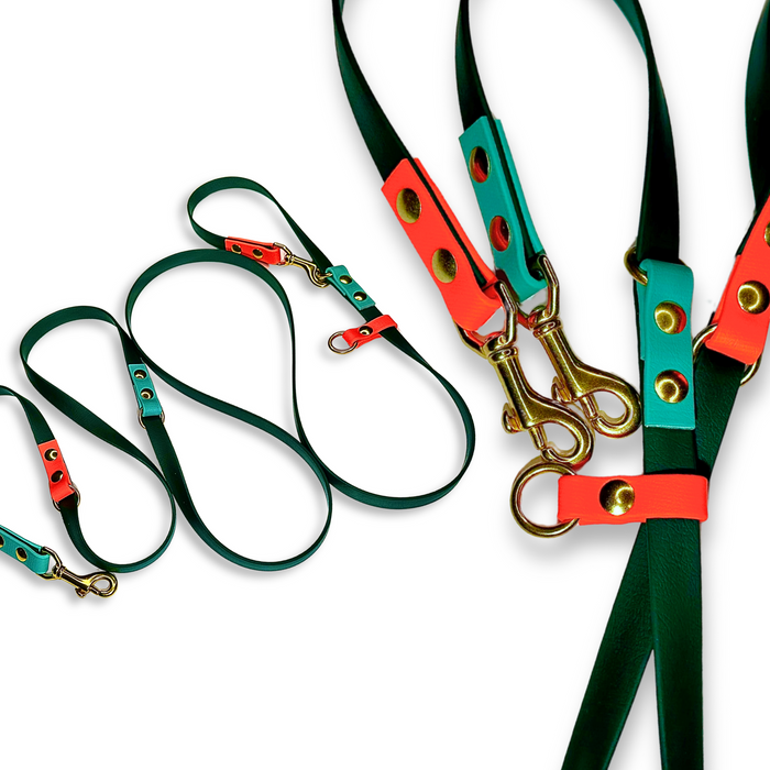 Trailblazing Tails BioThane® Leashes for Big Dogs: Built for Connection and Adventure