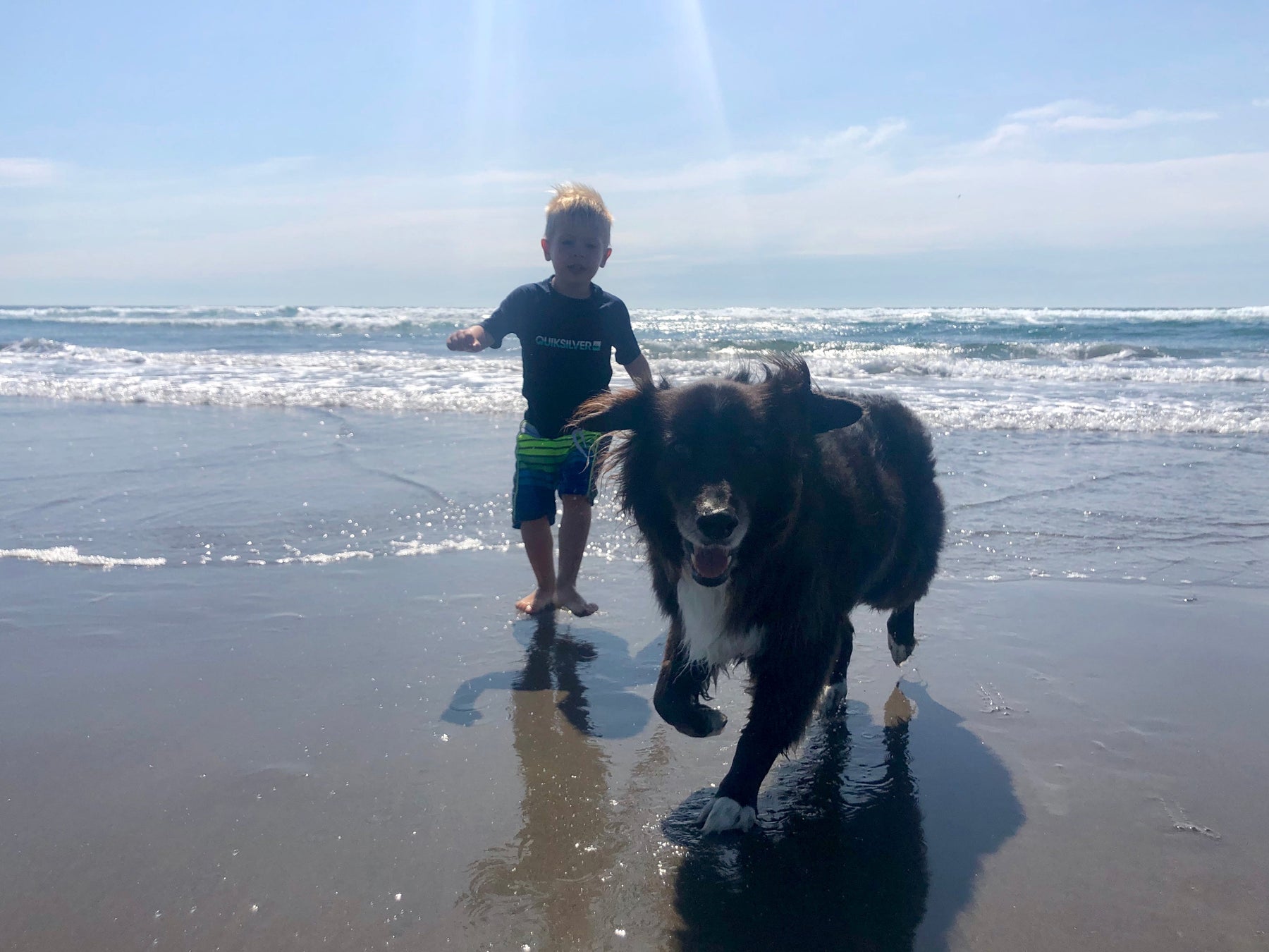 Child and Dog Safety: Listening to What Dogs Are Really Saying