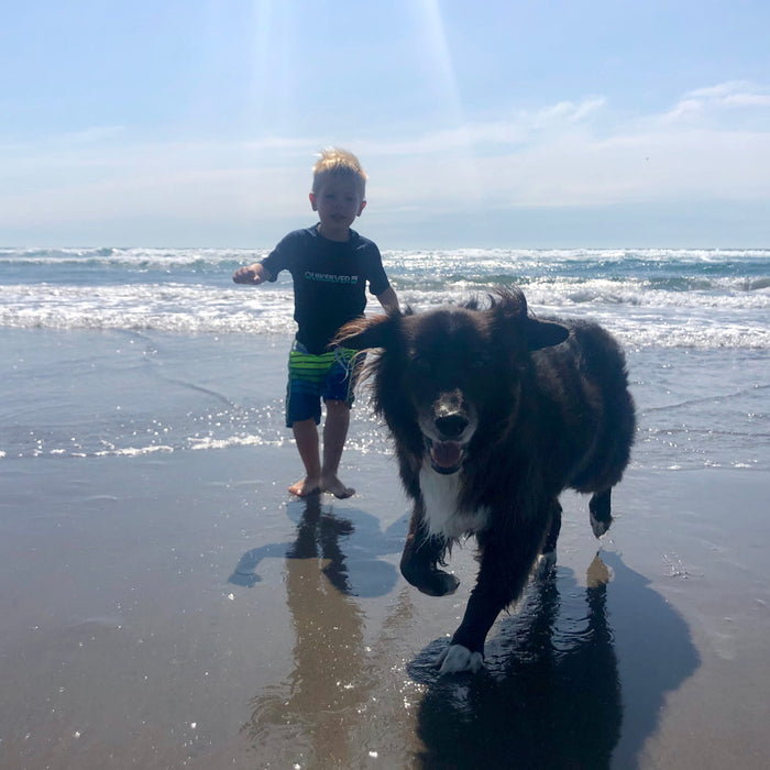Child and Dog Safety: Listening to What Dogs Are Really Saying