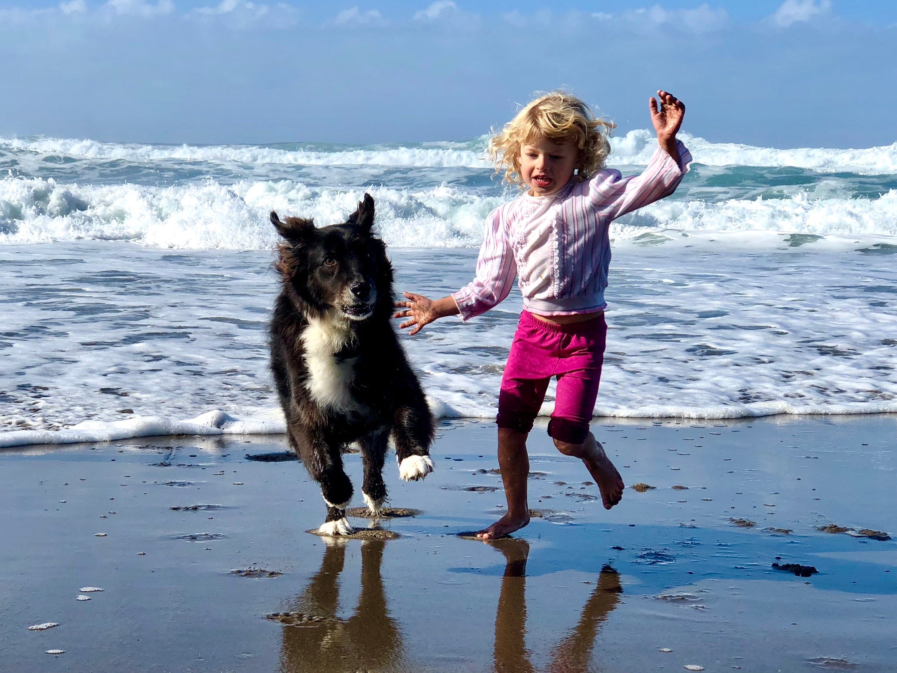 Building Lifelong Bonds Between Kids and Dogs: A Guide to Positive Interactions