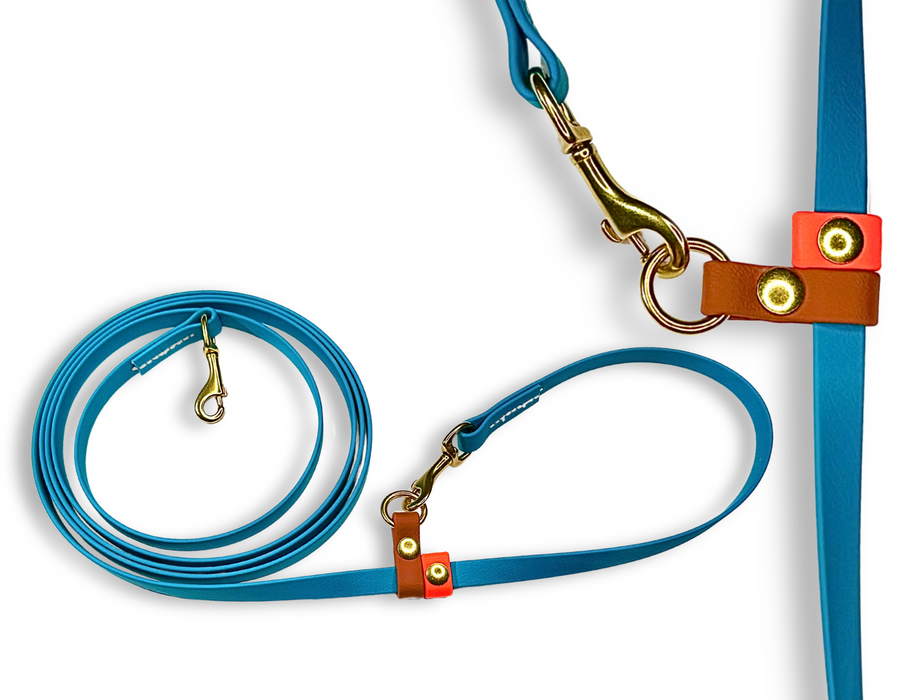 The Medium Dog Hands-Free - for dogs 10-40 lbs.