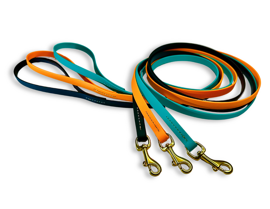 The Medium Dog - for dogs 10-40 lbs.