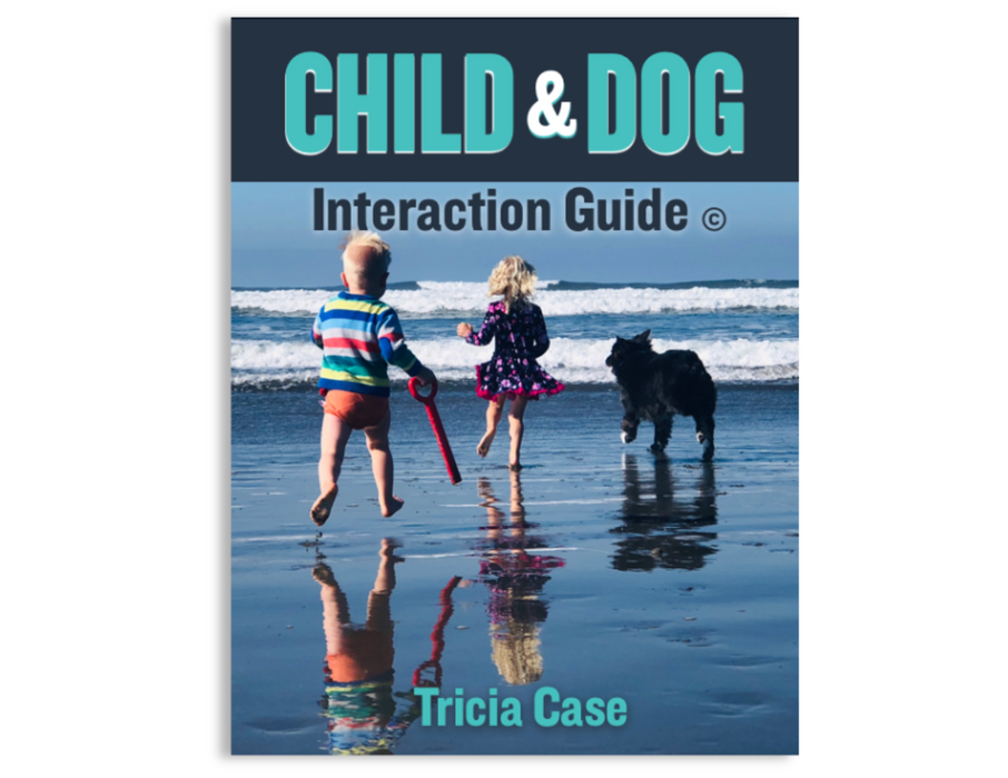 Child and Dog Interaction Guide ©
