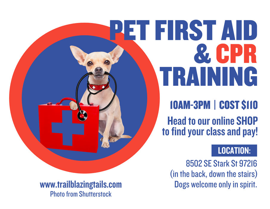 Pet First Aid and CPR Training