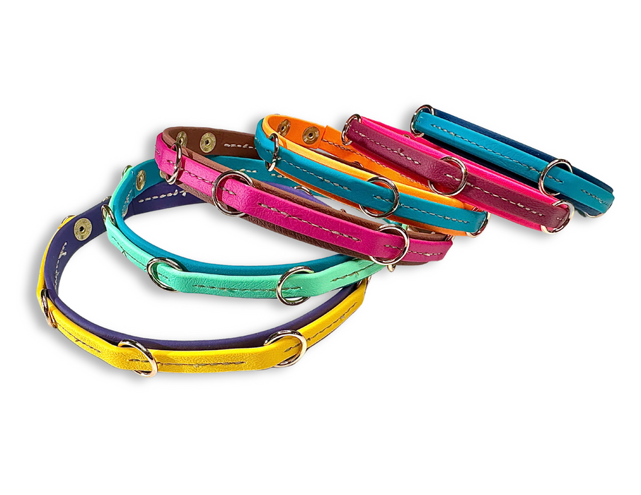 Leash Organizer