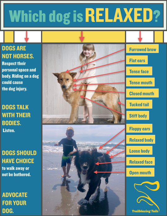 Child and Dog Interaction Guide ©