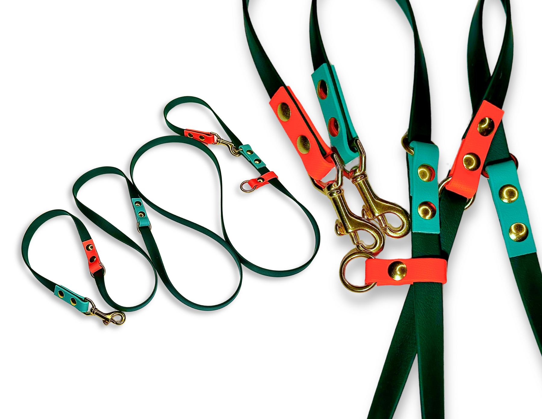 Trailblazing Tails BioThane® Leashes for Big Dogs: Built for Connection and Adventure