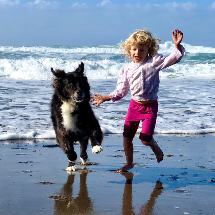 Building Lifelong Bonds Between Kids and Dogs: A Guide to Positive Interactions