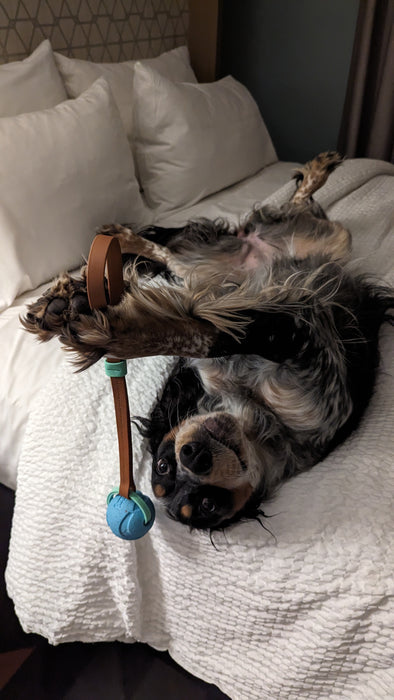The Unparalleled Tug Toy