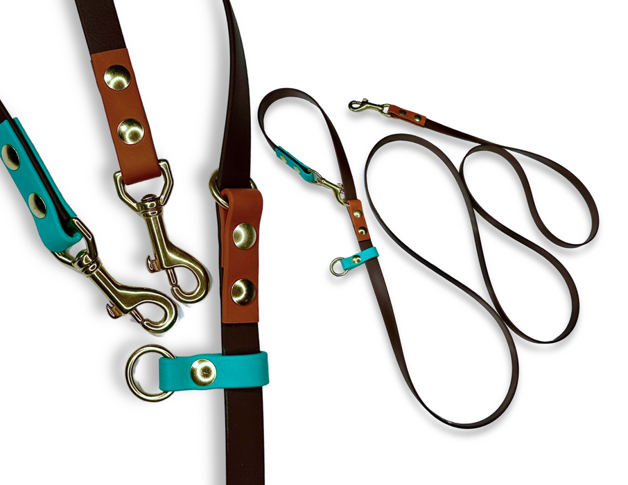 The Pica - for dogs 10-125 lbs.