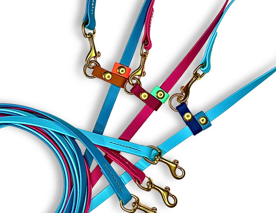 The Medium Dog Hands-Free - for dogs 10-40 lbs.