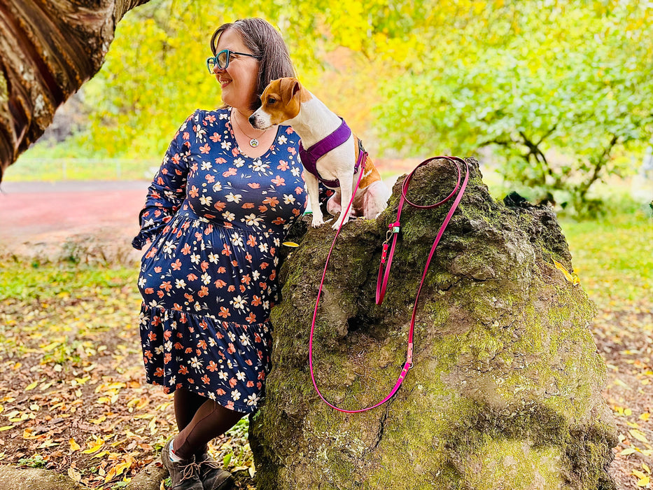 The Whole Shebang - for dogs 5-125 lbs