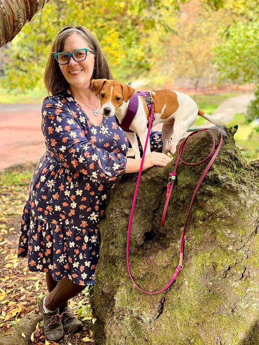 The Whole Shebang - for dogs 5-125 lbs