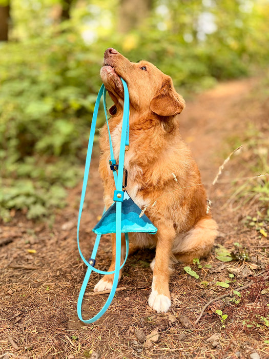 The Not-a-Knot - for dogs 15-125 lbs.