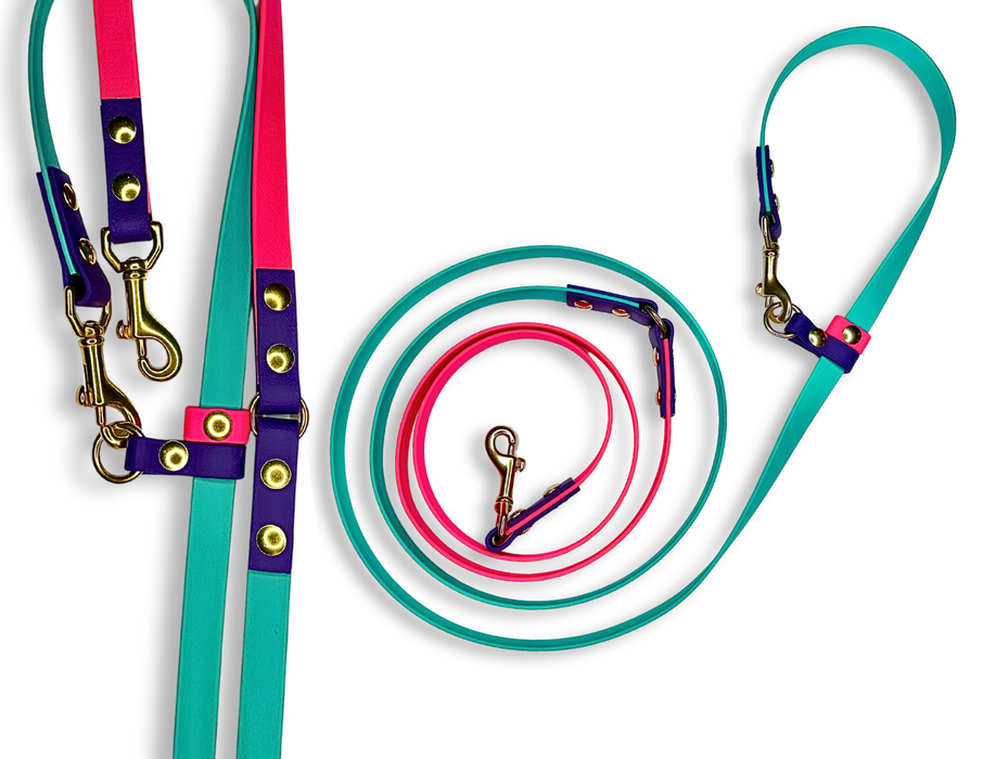 The Whole Shebang - for dogs 15-125 lbs.
