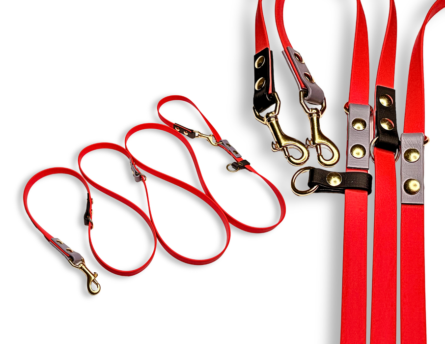 The Sunny - for dogs 20-125 lbs.