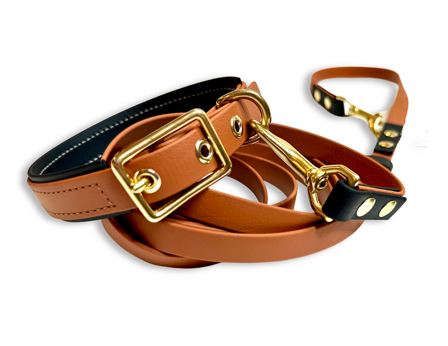 Premium Dog Collars