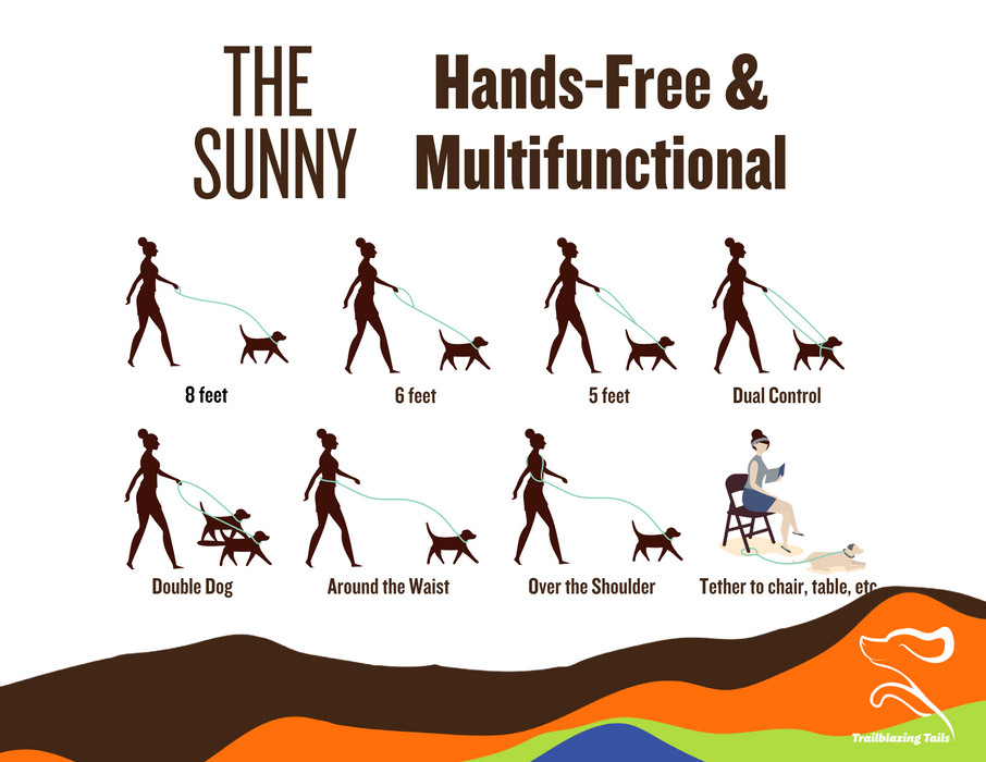 The Sunny - for dogs 20-125 lbs.