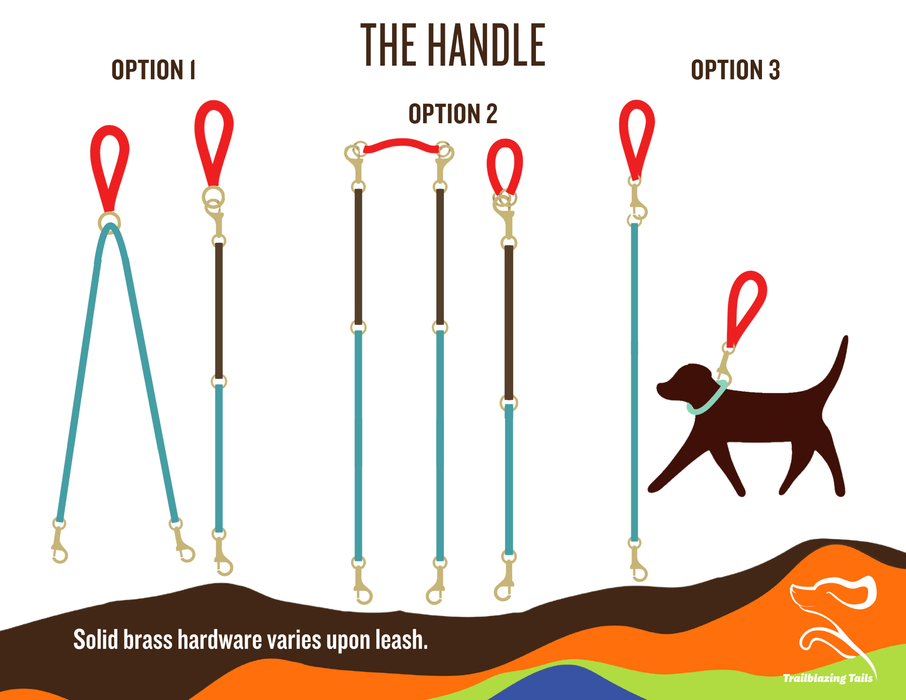 The Handle (3-ways)