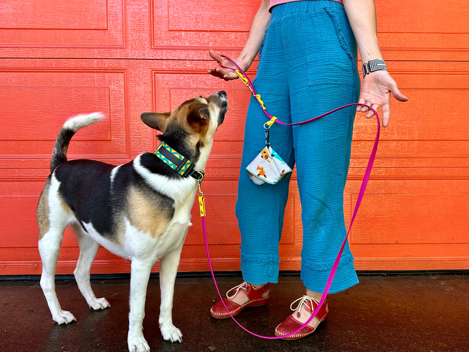 The Pica - for dogs 10-125 lbs.