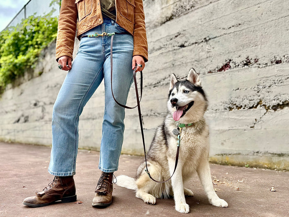 The Sunny - for dogs 20-125 lbs.