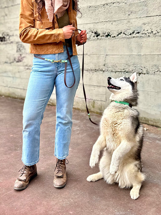 The Sunny - for dogs 20-125 lbs.