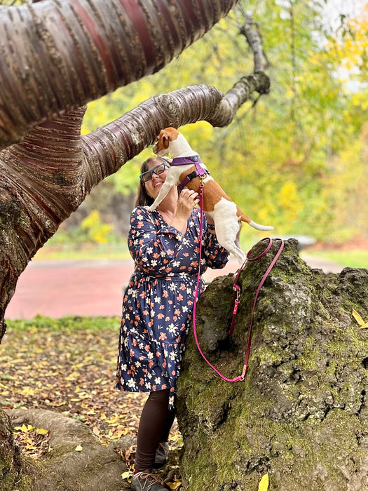 The Whole Shebang - for dogs 5-125 lbs