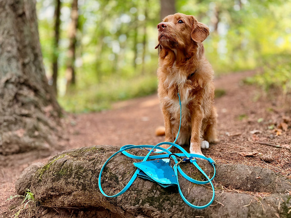 The Not-a-Knot - for dogs 15-125 lbs.