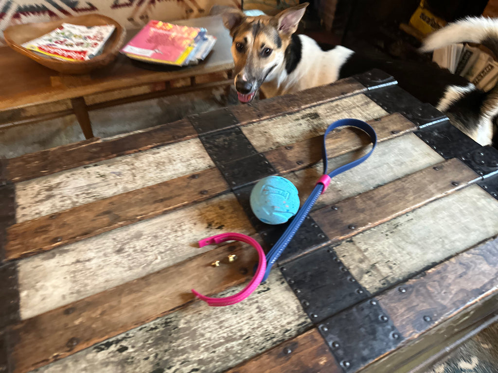 The Unparalleled Tug Toy (The Tippy)