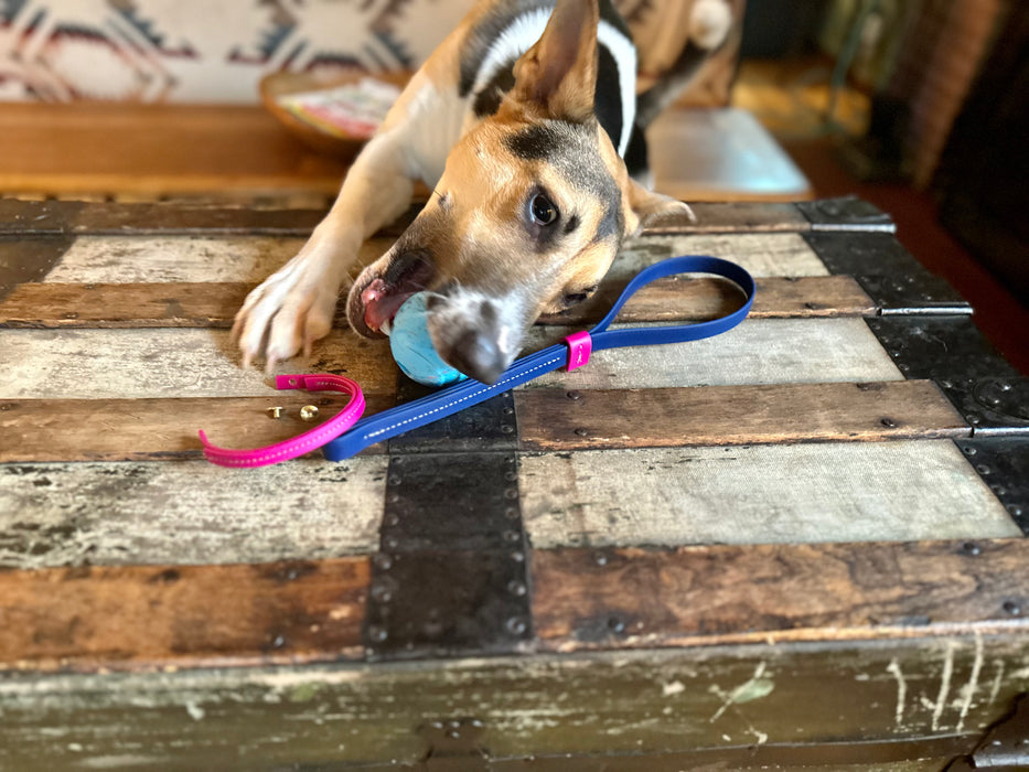 The Unparalleled Tug Toy
