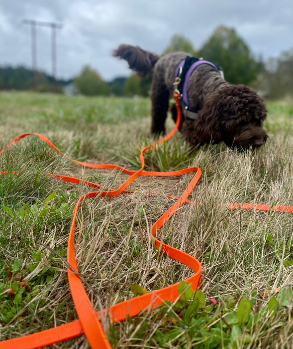 Long Line/Leash Extension or Drag Line
