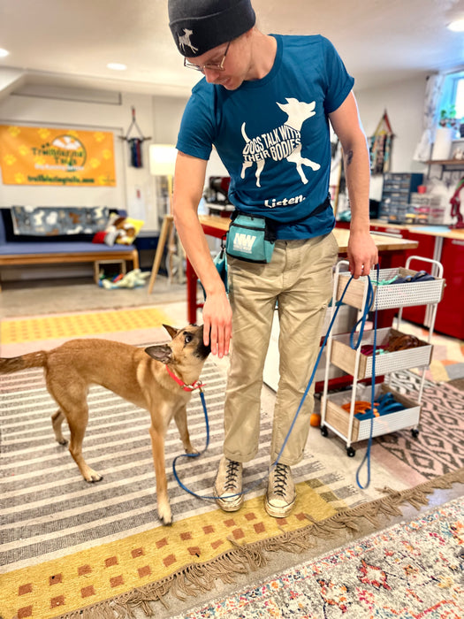 Collar that 2024 makes dogs talk