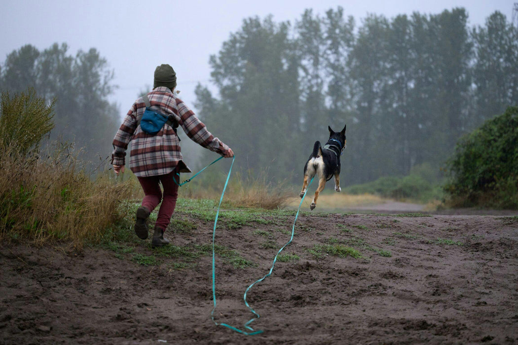 The Big Dog Hands-Free - for dogs 25-125 lbs.