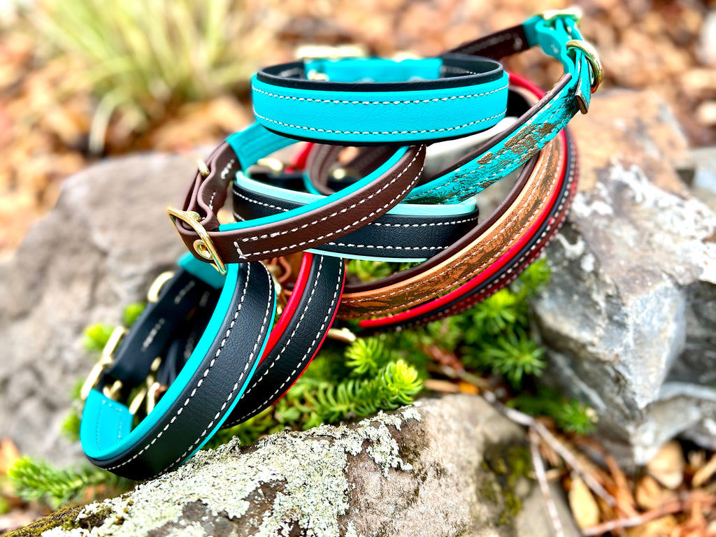 Premium Dog Collars (The Hedda)