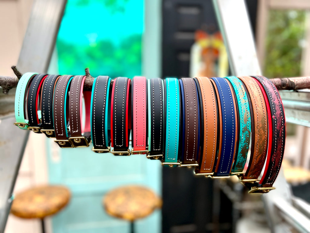 Premium Dog Collars (The Hedda)