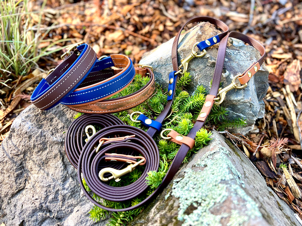Premium Dog Collars (The Hedda)