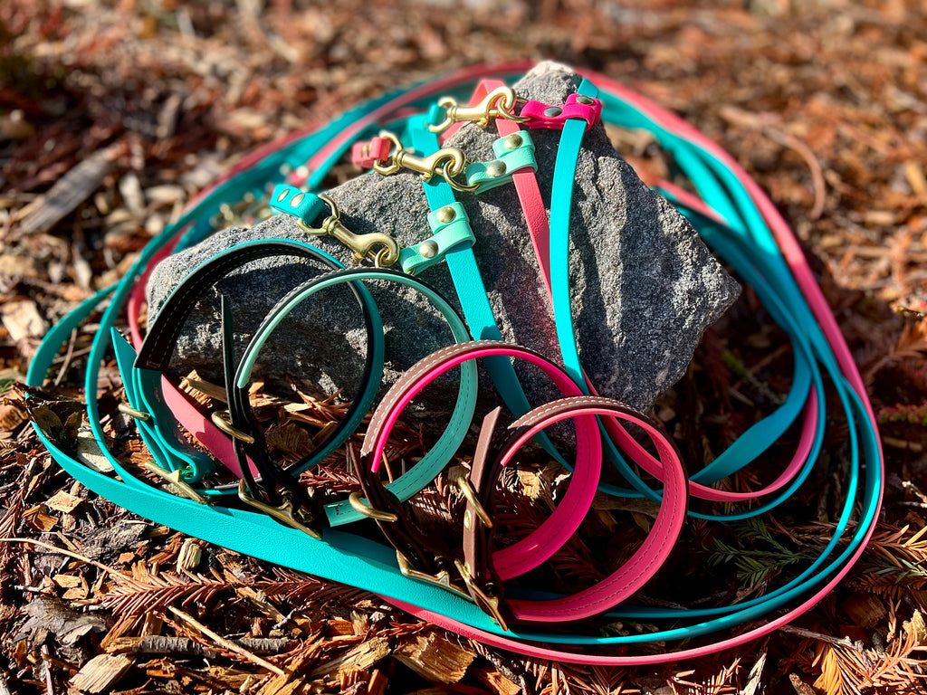 Premium Dog Collars (The Hedda)