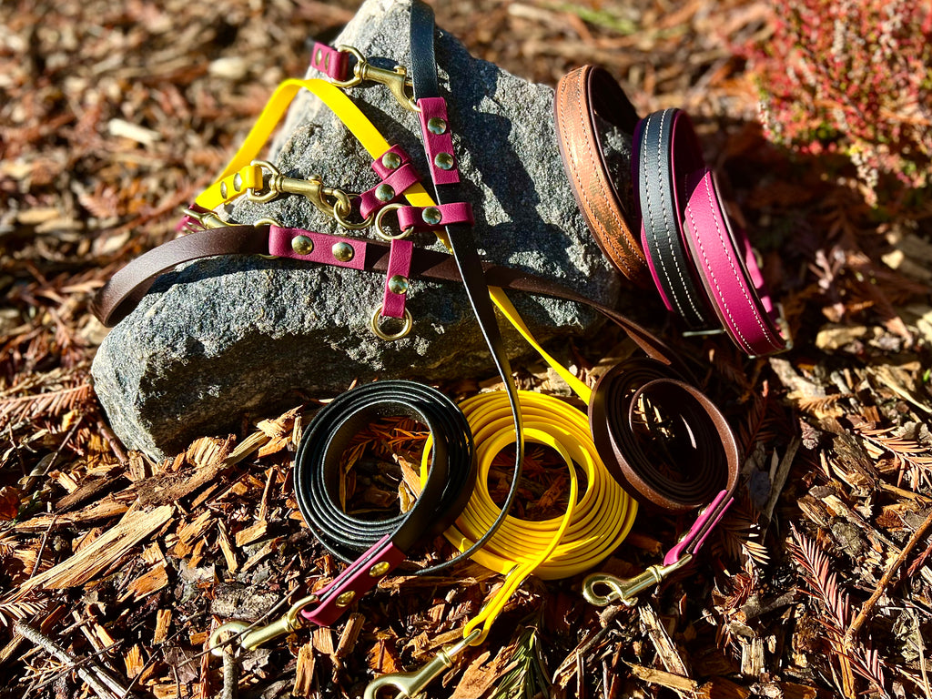 Premium Dog Collars (The Hedda)