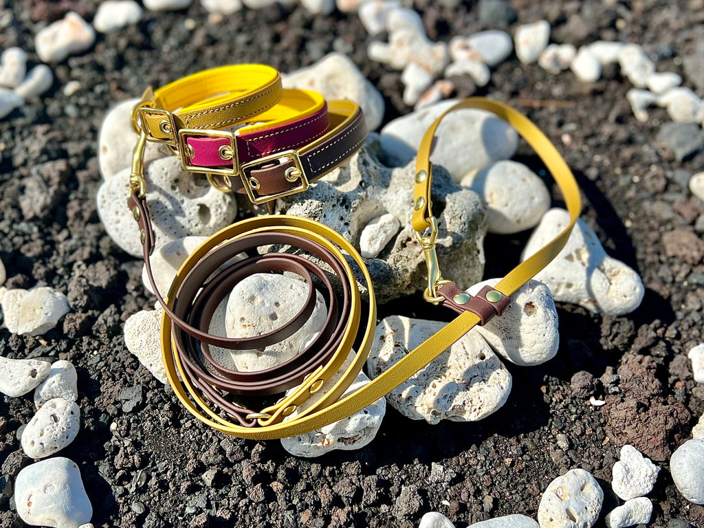 Premium Dog Collars (The Hedda)