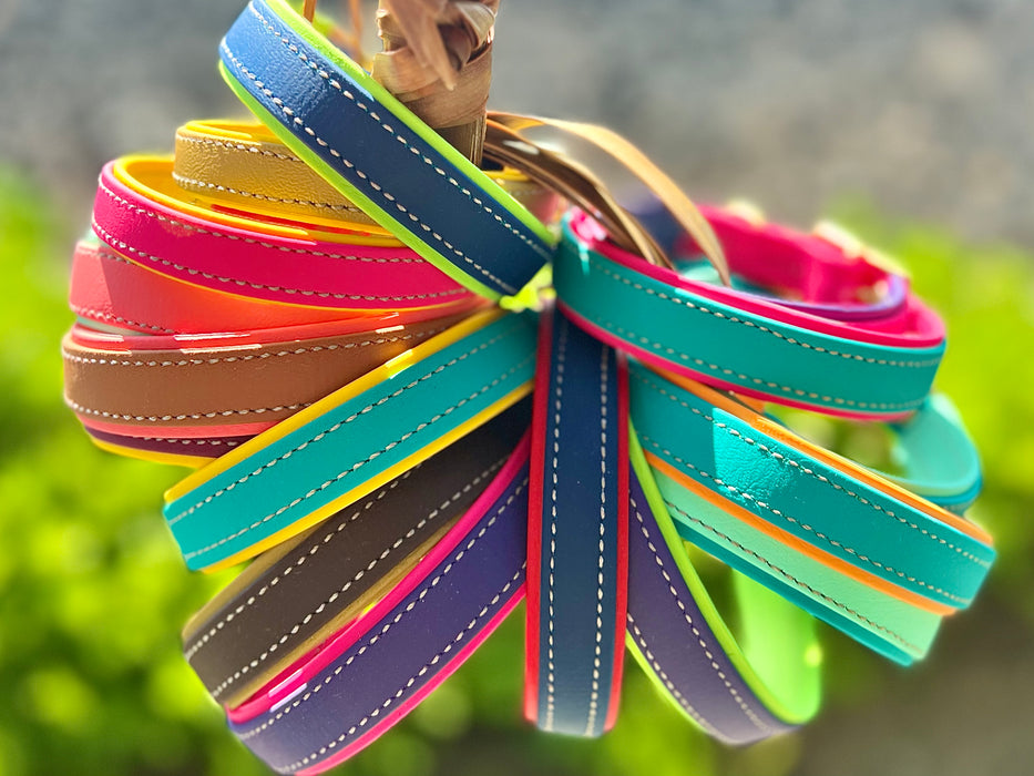 Premium Dog Collars (The Hedda)