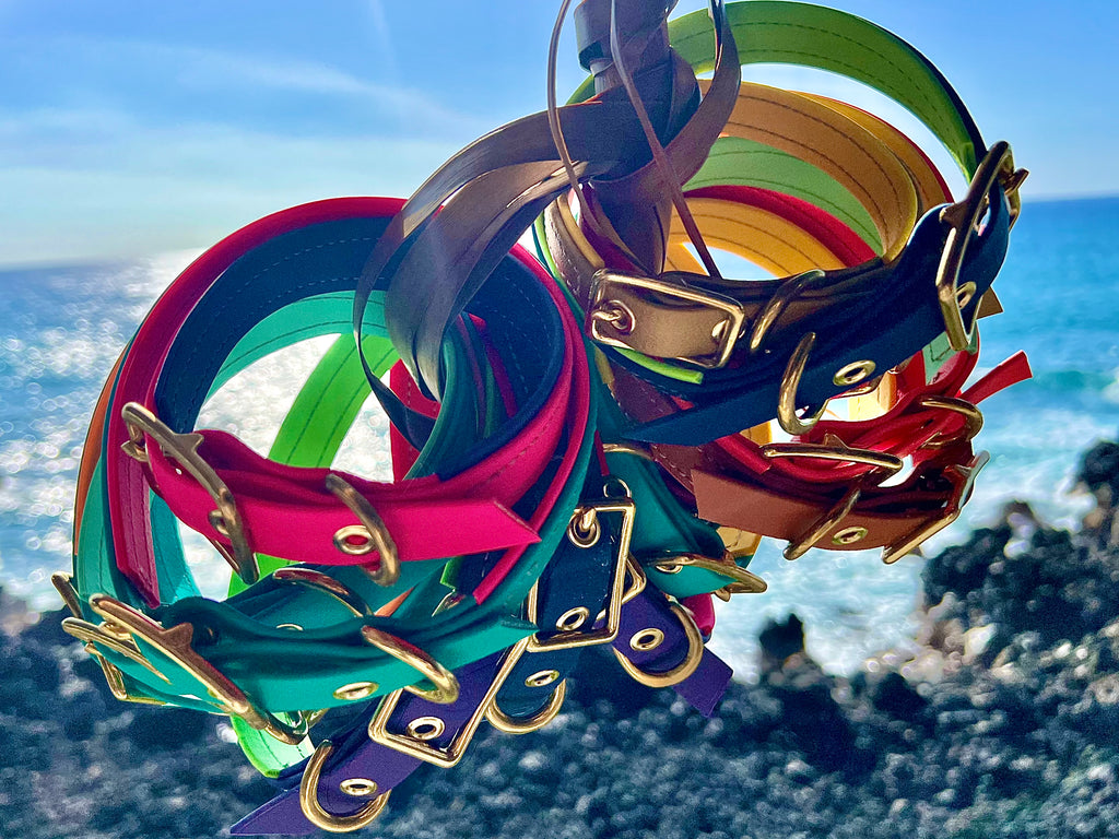 Premium Dog Collars (The Hedda)