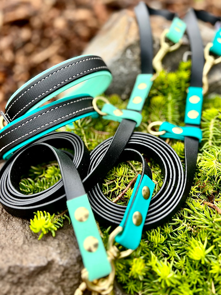 Premium Dog Collars (The Hedda)
