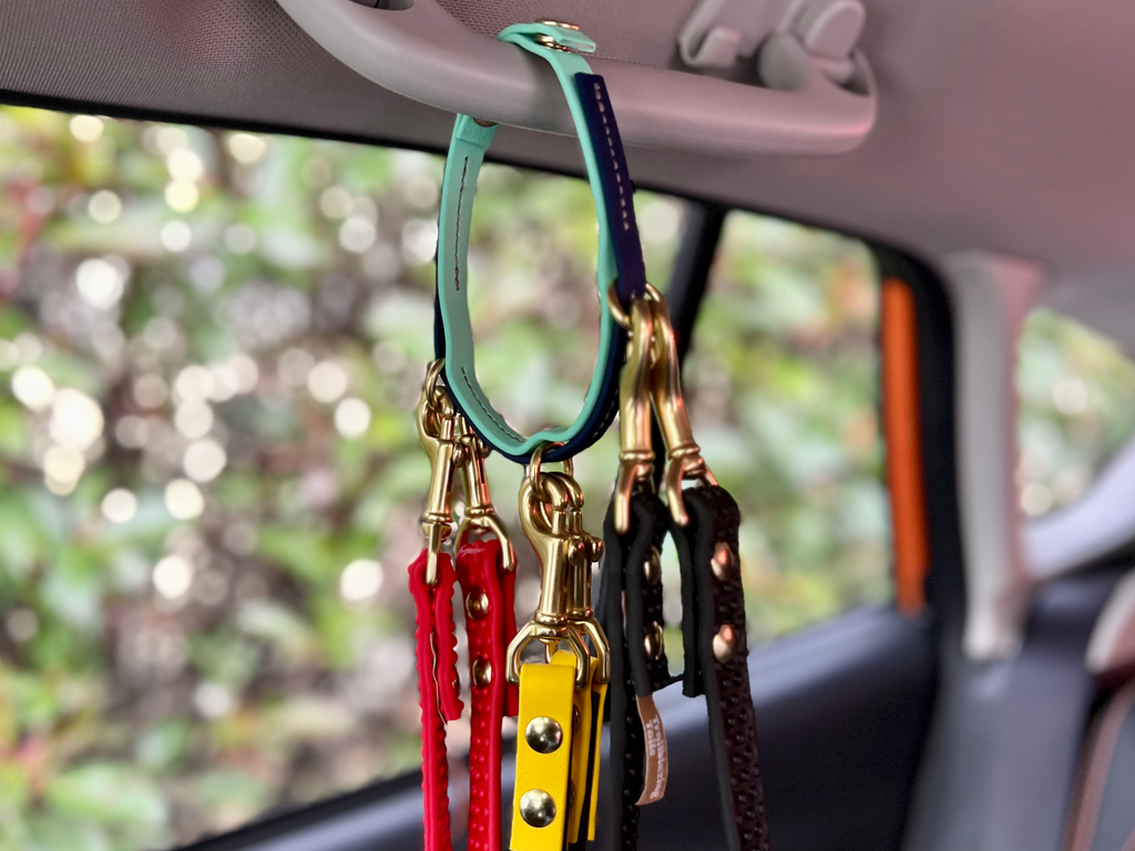 Leash Organizer