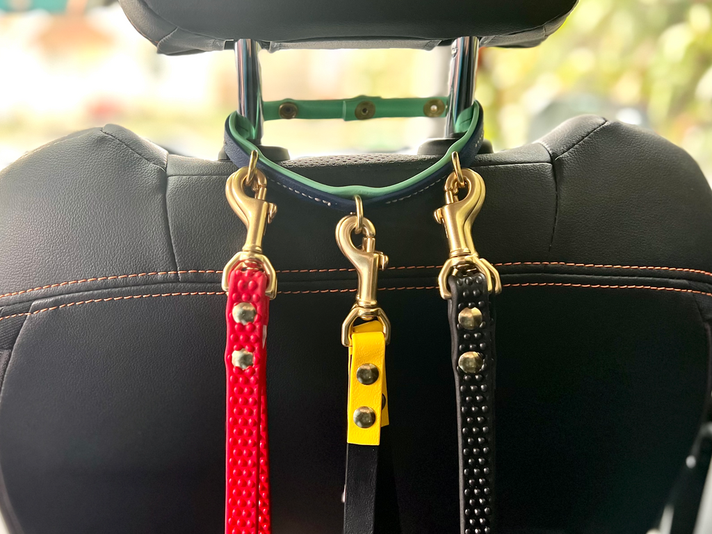 Leash Organizer
