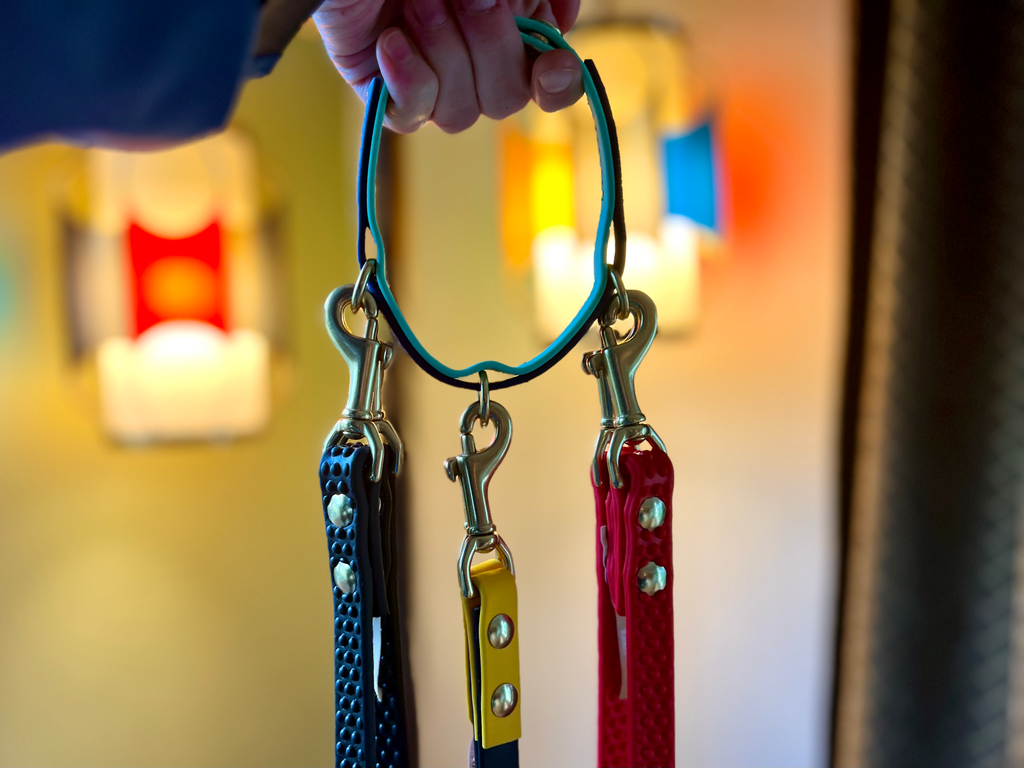 Leash Organizer