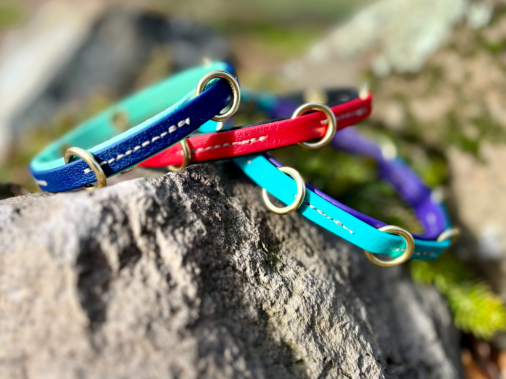 Leash Organizer