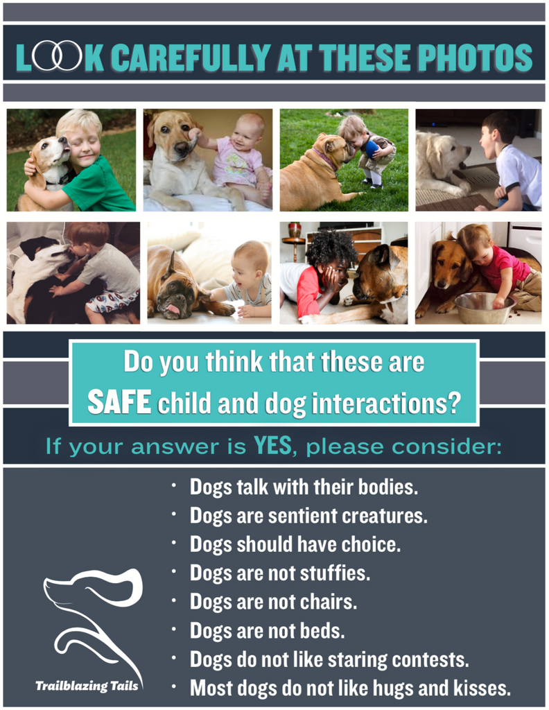 Child and Dog Interaction Guide ©