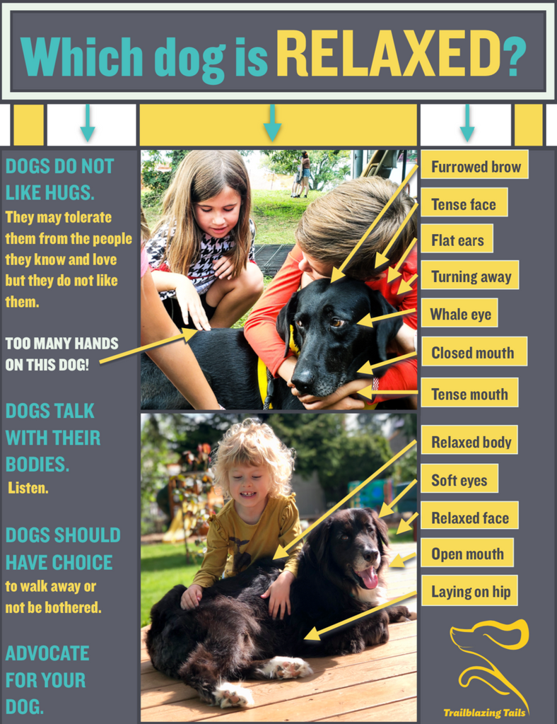 Child and Dog Interaction Guide ©