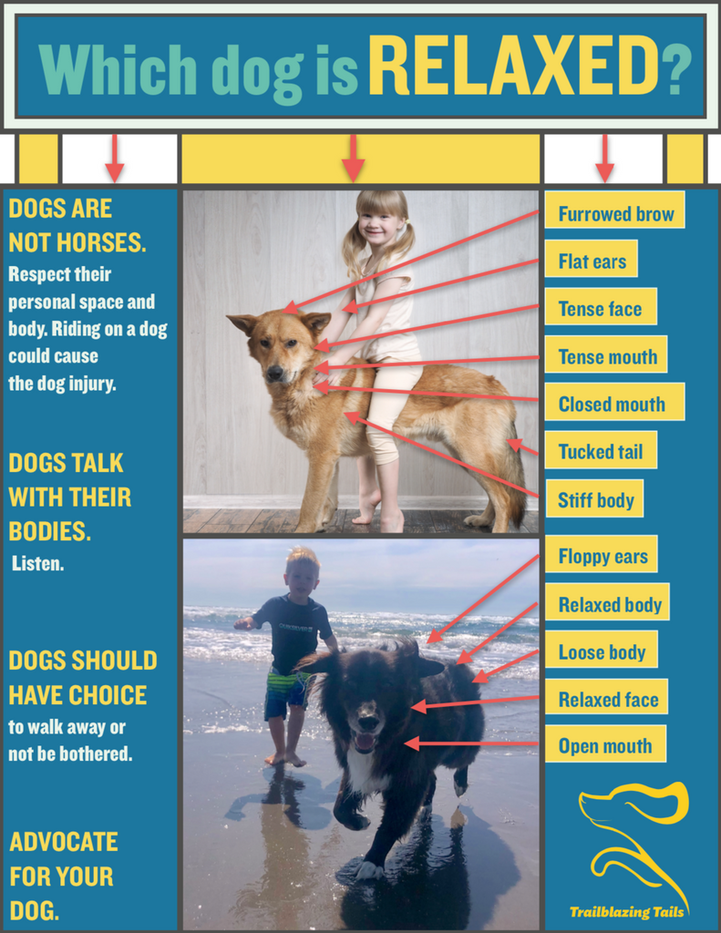 Child and Dog Interaction Guide ©