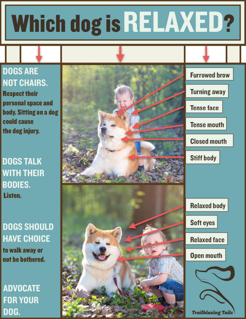Child and Dog Interaction Guide ©